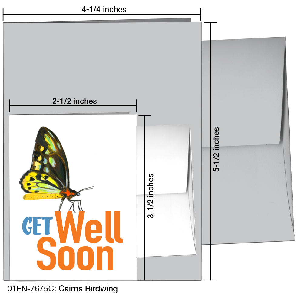 Cairns Birdwing, Greeting Card (7675C), Enclosure, printedcanvas.com