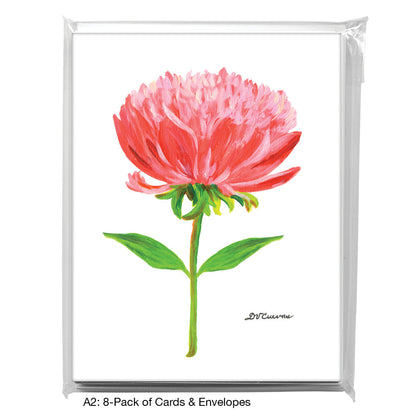 Single Peony, Greeting Card (7830A), A2 8-Pack, printedcanvas.com