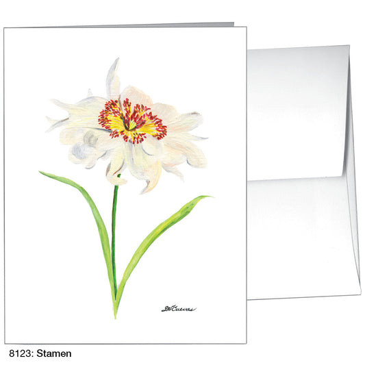 Stamen, Greeting Card (8123C), A2 Card Front, www.printedcanvas.com