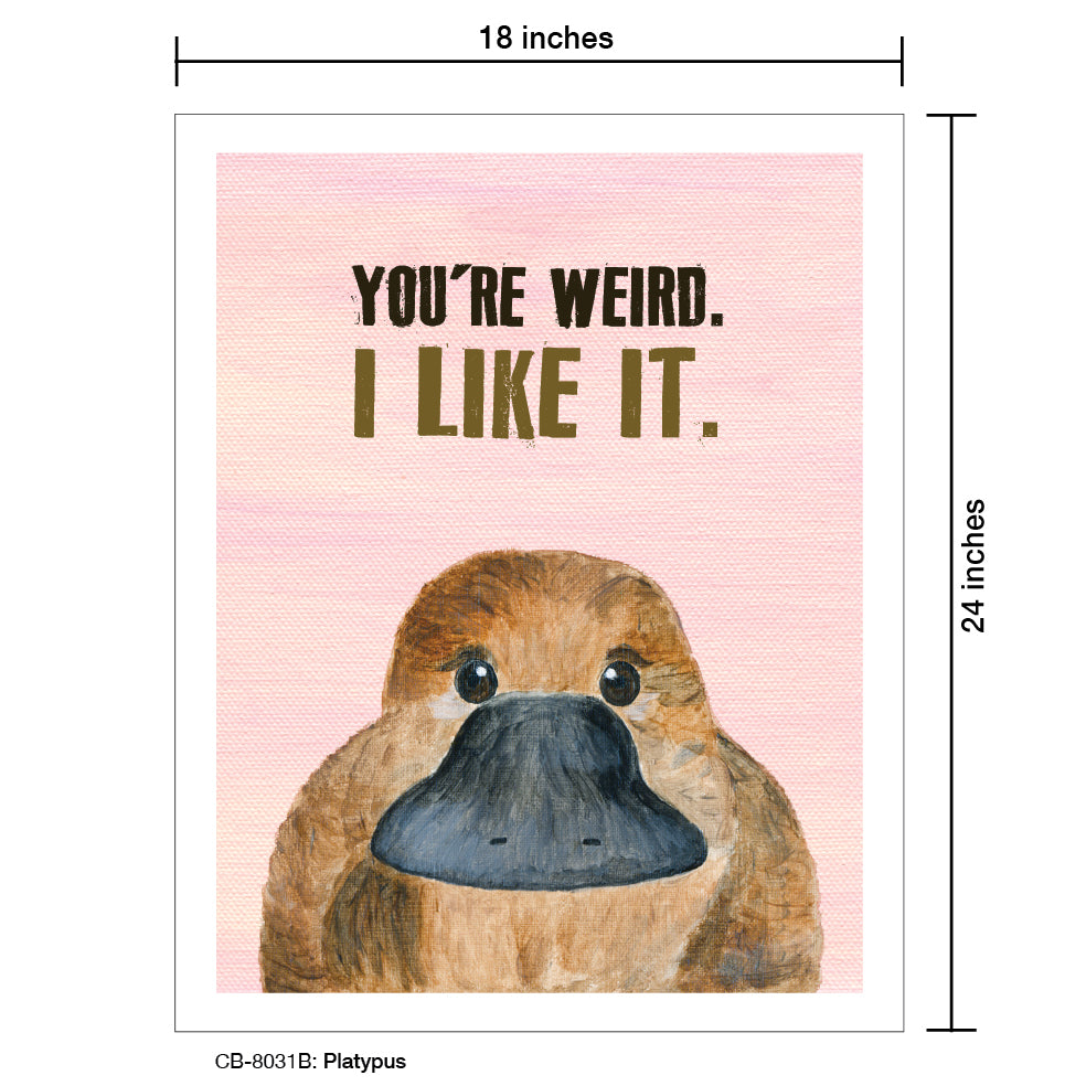 Platypus, Card Board (8031B), 18'x24 PosterBoard at www.printedcanvas.com