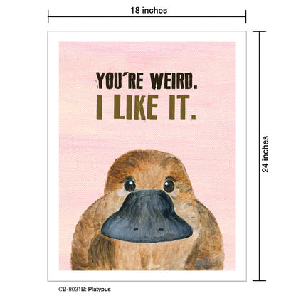 Platypus, Card Board (8031B), 18'x24 PosterBoard at www.printedcanvas.com