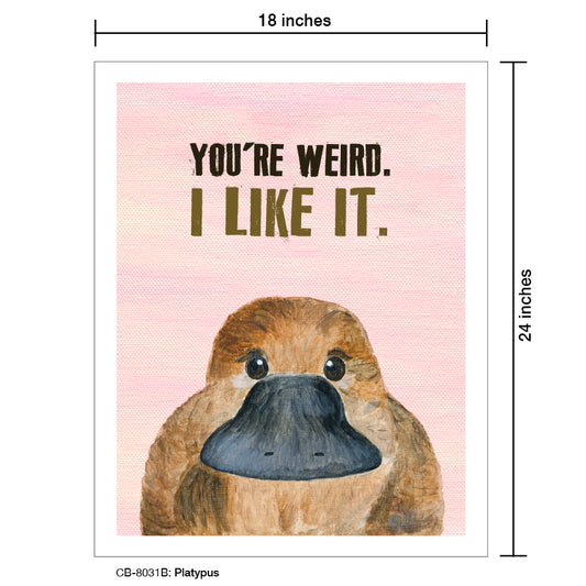 Platypus, Card Board (8031B), 18'x24 PosterBoard at www.printedcanvas.com