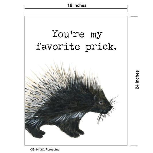 Porcupine, Card Board (8442C), 18'x24 PosterBoard at www.printedcanvas.com