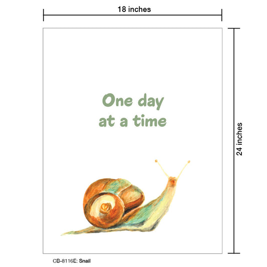 Snail, Card Board (8116E), Card Board: 18x24, printedcanvas.com