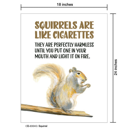 Squirrel, Card Board (8304G), Card Board: 18x24, printedcanvas.com