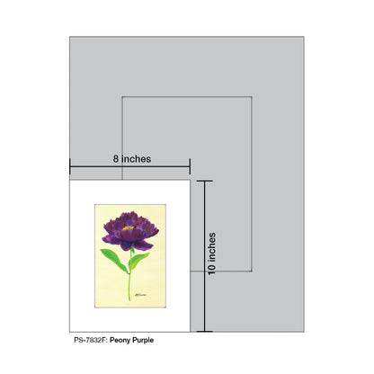 Peony Purple, Print (#7832F), Print Matted, www.printedcanvas.com