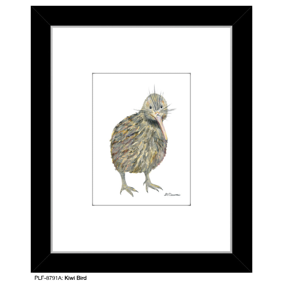Kiwi Bird, Print (#8791A), Print Matted, www.printedcanvas.com