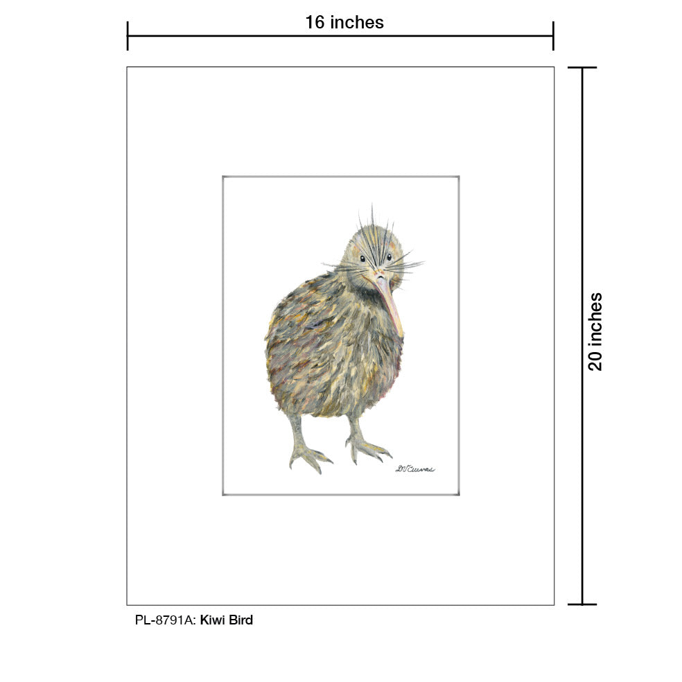 Kiwi Bird, Print (#8791A), Printe Matted, www.printedcanvas.com