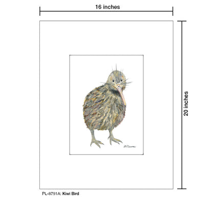 Kiwi Bird, Print (#8791A), Printe Matted, www.printedcanvas.com