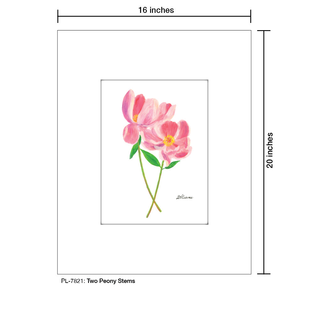 Two Peony Stems, Print (#7821A), Printe Matted, www.printedcanvas.com