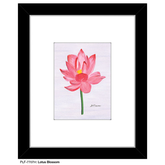 Lotus Blossom, Print (#7707H), Print Matted, www.printedcanvas.com