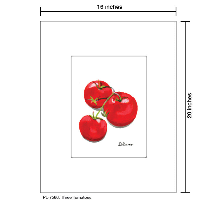 Three Tomatoes, Print (#7566) - Printed Canvas