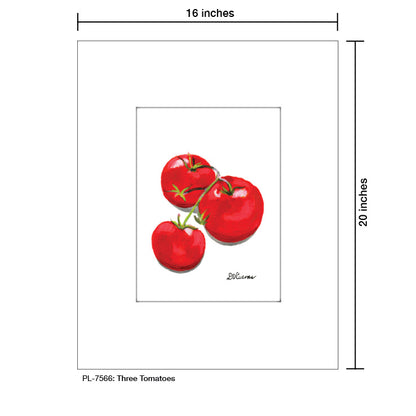 Three Tomatoes, Print (#7566) - Printed Canvas