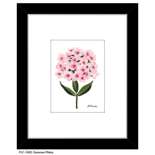 Summer Phlox, Print (#7402A)