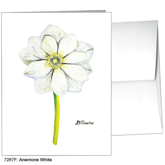 Anemone White, Greeting Card (7267F), A2, printedcanvas.com