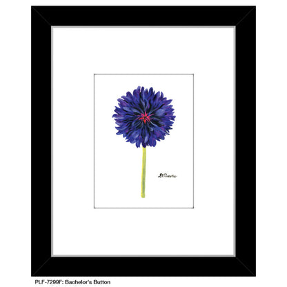 Bachelor's Button, Print (#7299F) - Printed Canvas