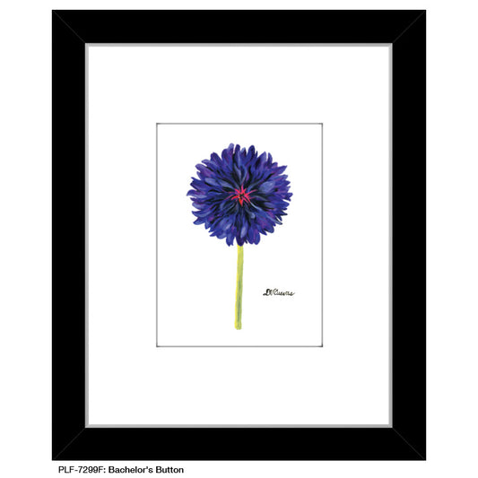 Bachelor's Button, Print (#7299F) - Printed Canvas