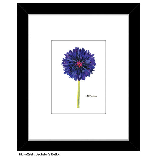 Bachelor's Button, Print (#7299F), Print Matted, www.printedcanvas.com
