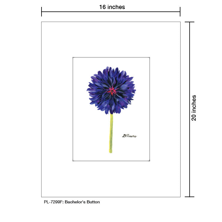 Bachelor's Button, Print (#7299F) - Printed Canvas