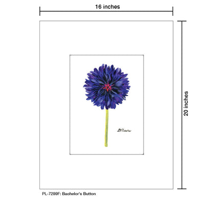 Bachelor's Button, Print (#7299F) - Printed Canvas