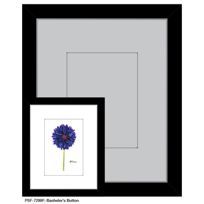 Bachelor's Button, Print (#7299F) - Printed Canvas