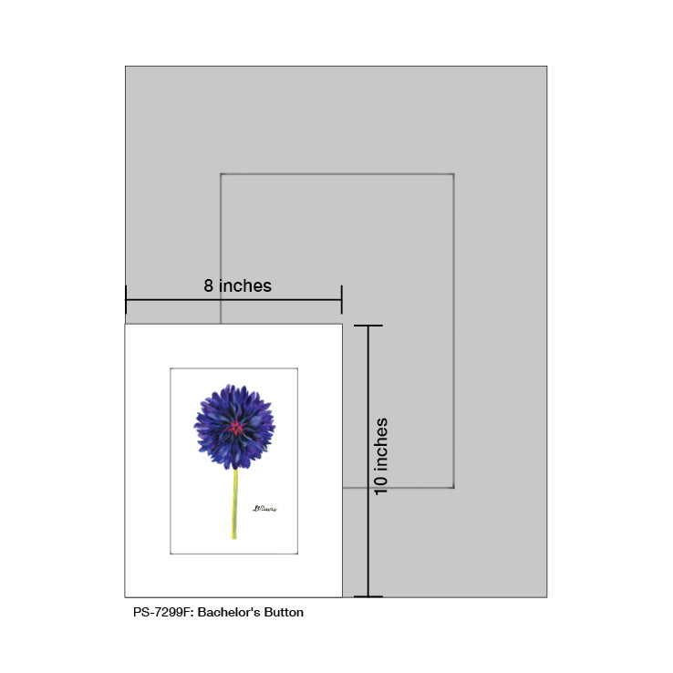 Bachelor's Button, Print (#7299F) - Printed Canvas