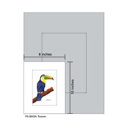 Toucan, Print (#8643C)