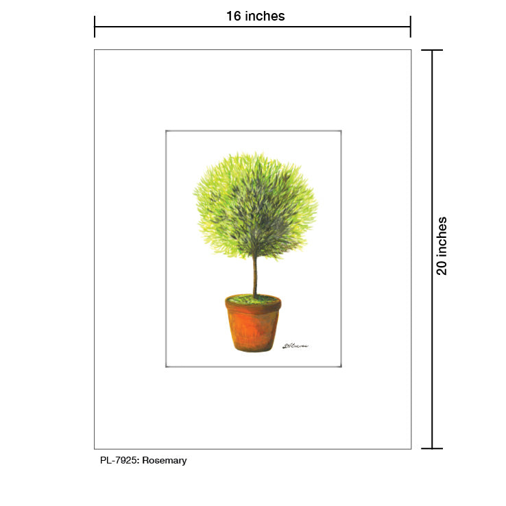 Rosemary, Print (#7925A), Printe Matted, www.printedcanvas.com