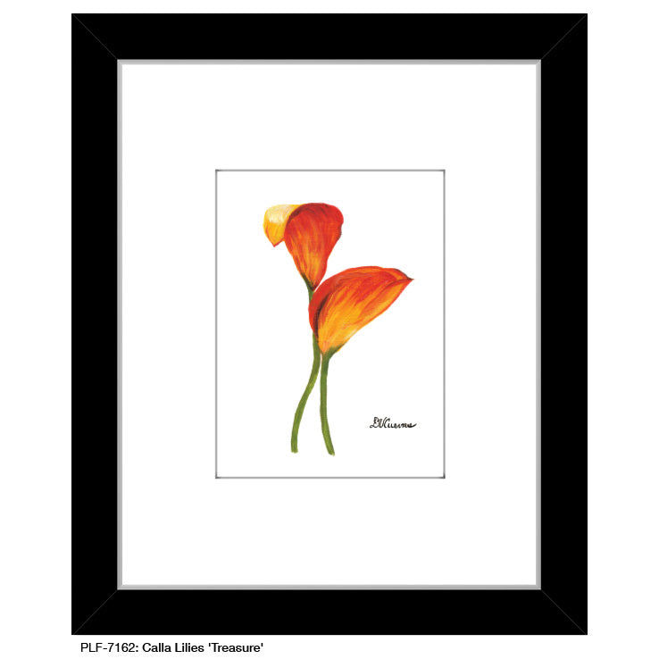 Calla Lilies 'Treasure', Print (#7162) - Printed Canvas