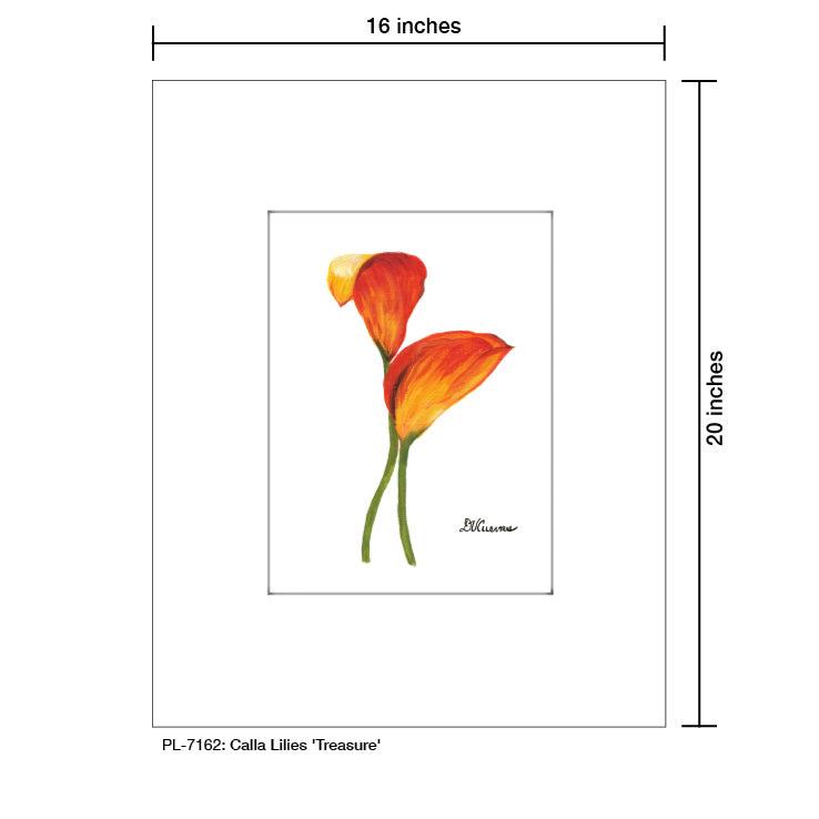 Calla Lilies 'Treasure', Print (#7162) - Printed Canvas