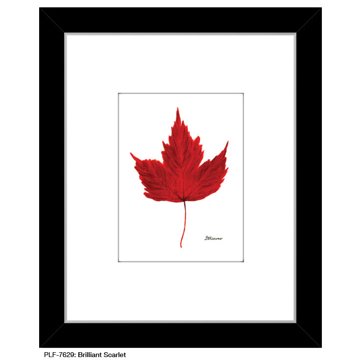 Brilliant Scarlet Leaf, Print (#7629A), Print Matted, www.printedcanvas.com