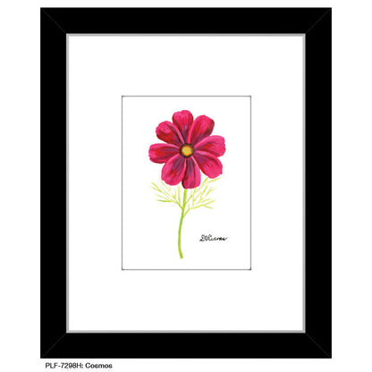 Cosmos, Print (#7298H), Print Matted, www.printedcanvas.com