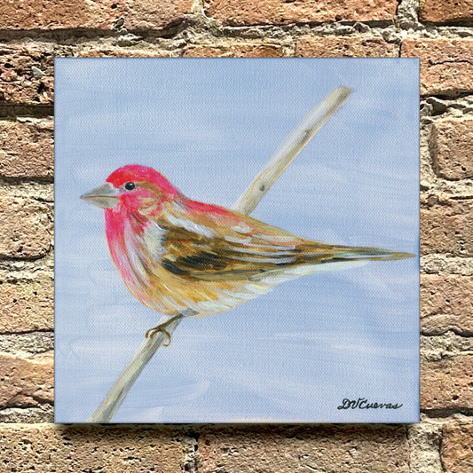 Cassin's Finch, Original - Printed Canvas