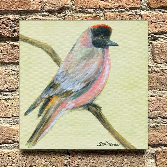 Finchbill, Original - Printed Canvas
