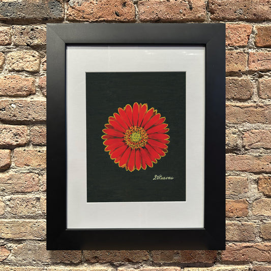 Gerber Red with Yellow, Original - Printed Canvas
