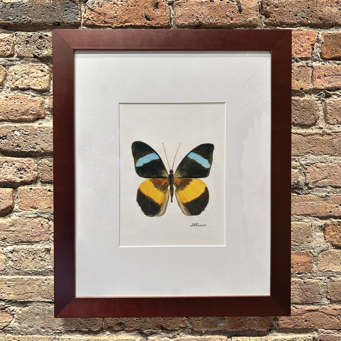Nessea Obrinus Atalaya, Original - Printed Canvas