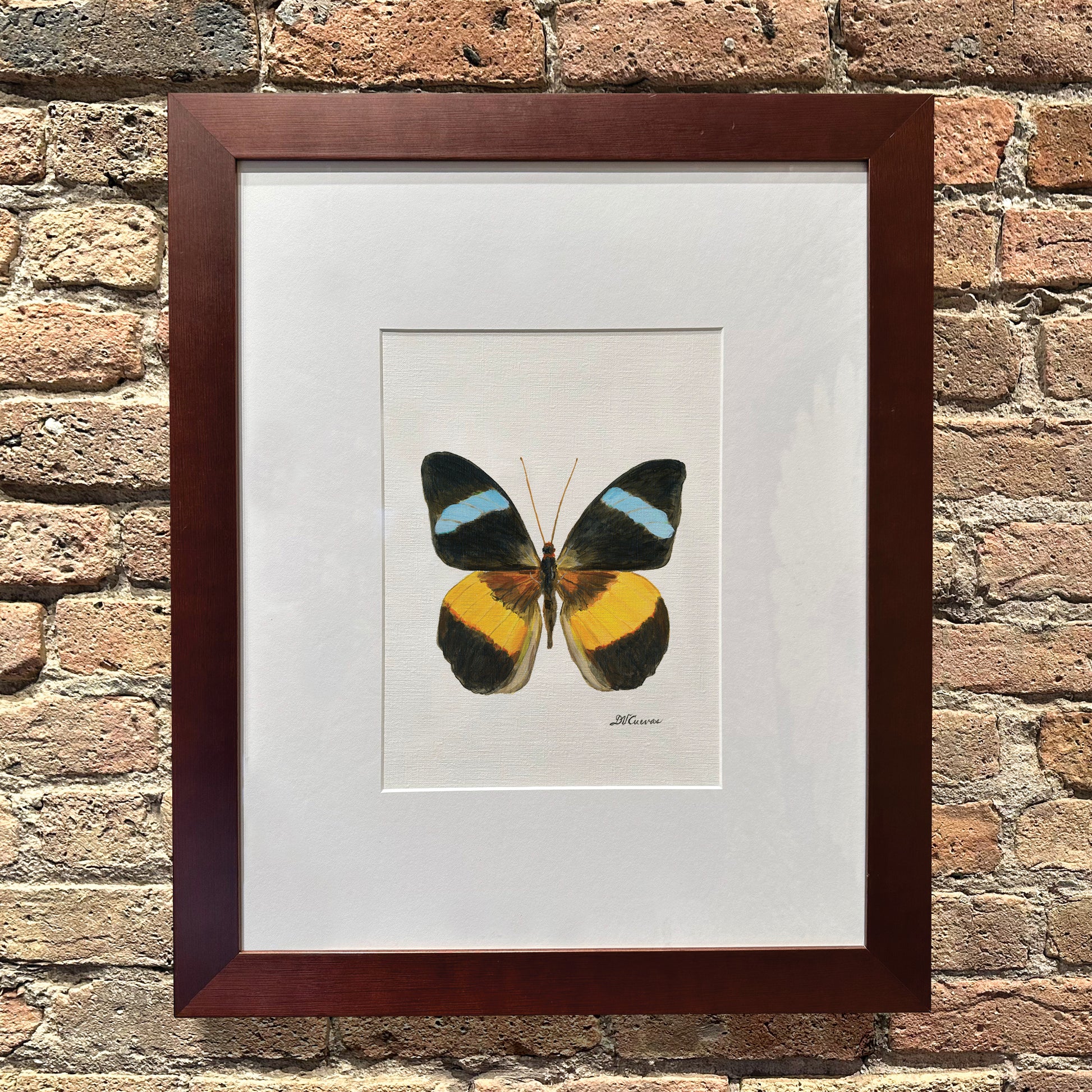 Nessea Obrinus Atalaya, Original - Printed Canvas