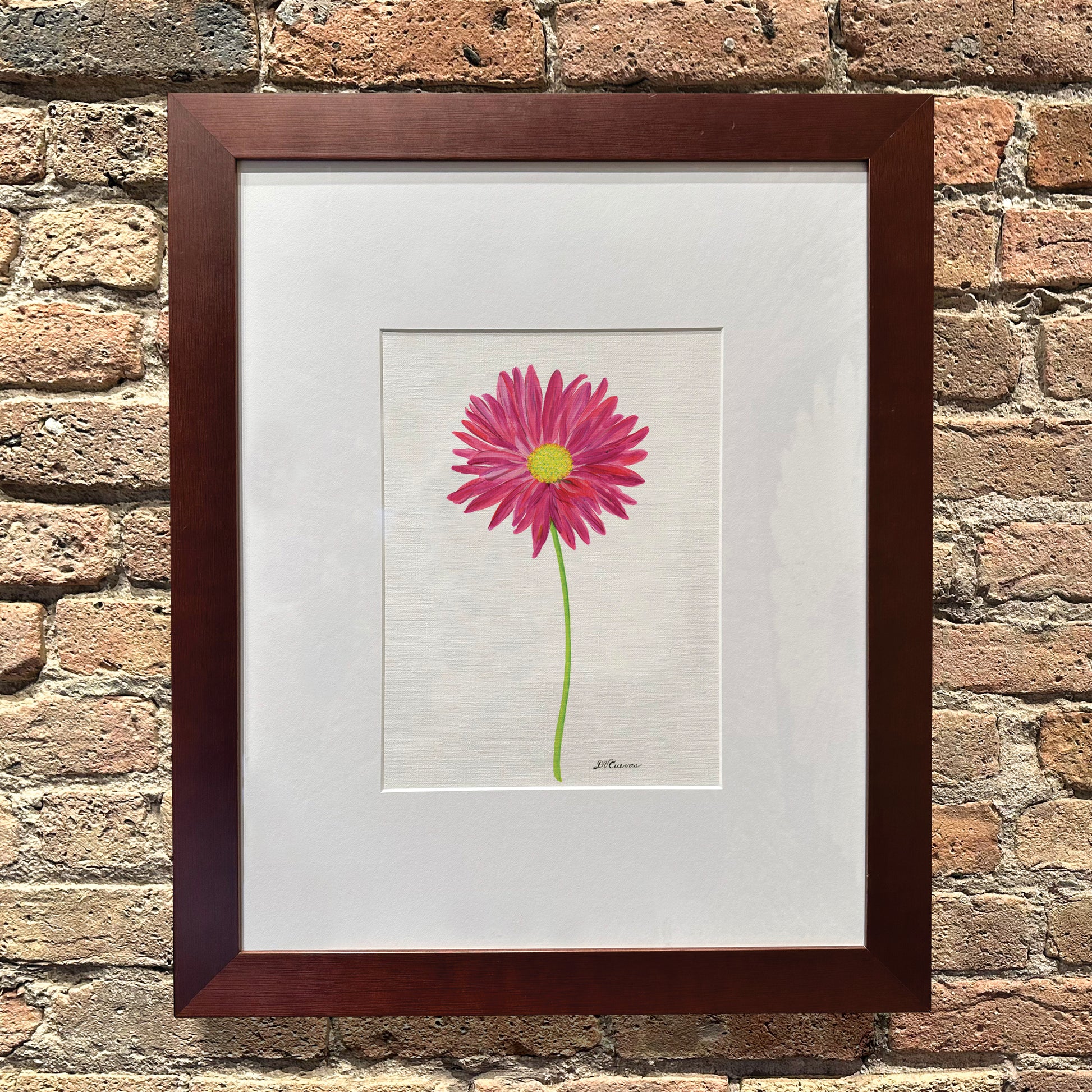 Pink Daisy, Original - Printed Canvas