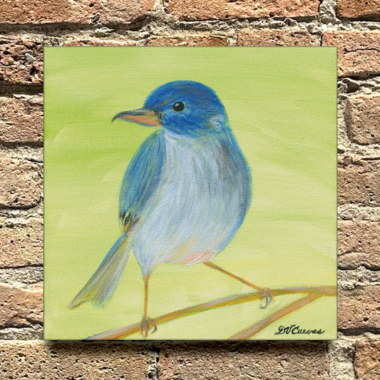 Slaty Flowerpiercer, Original - Printed Canvas