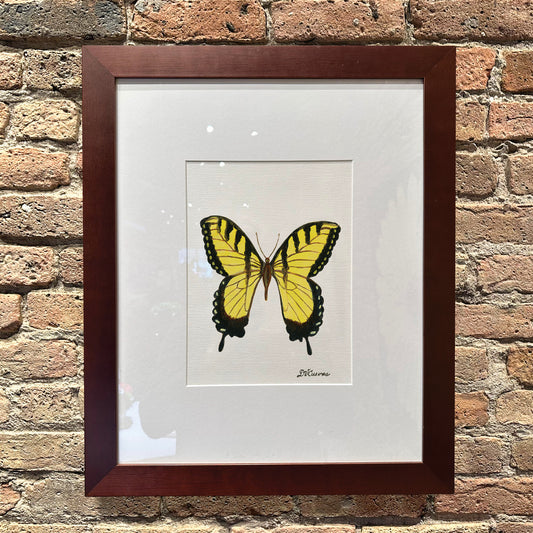 Tiger Swallowtail, Original - Printed Canvas