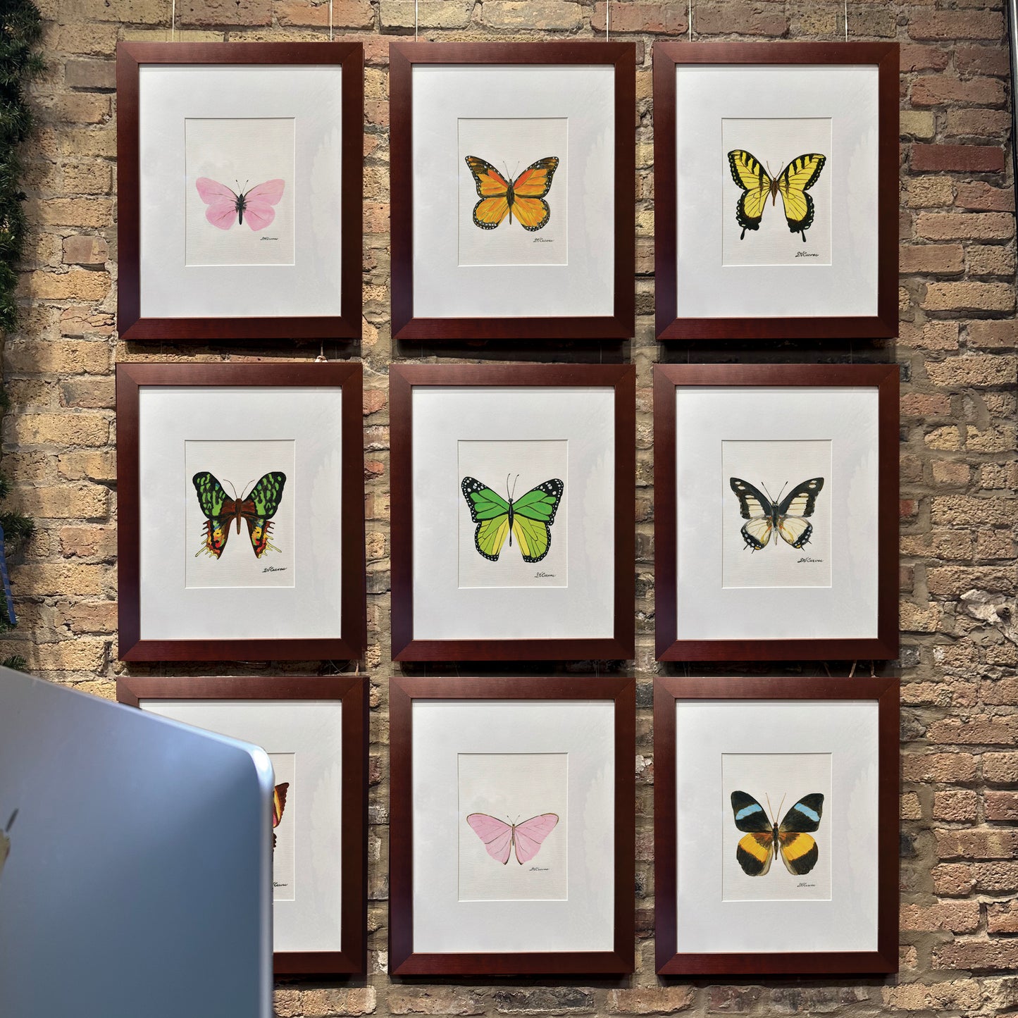 Tiger Swallowtail, Original - Printed Canvas