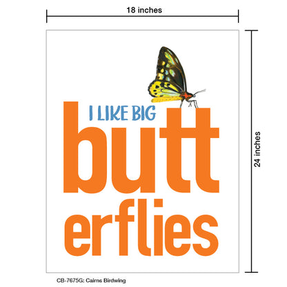 Cairns Birdwing, Card Board (7675G), Card Board: 18x24, printedcanvas.com