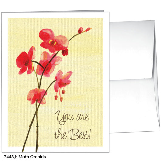 Moth Orchids, Greeting Card (7448J), A2, printedcanvas.com