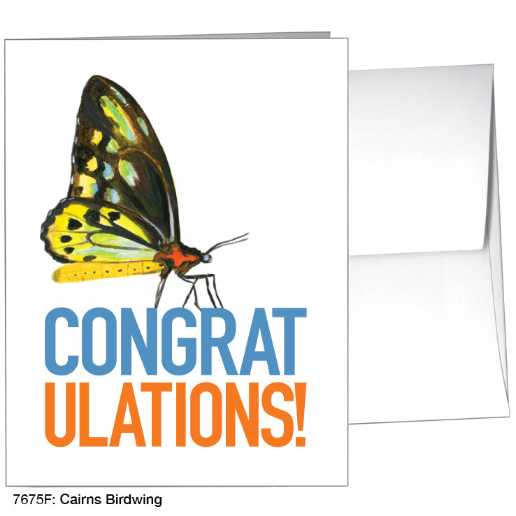 Cairns Birdwing, Greeting Card (7675F), A2, printedcanvas.com