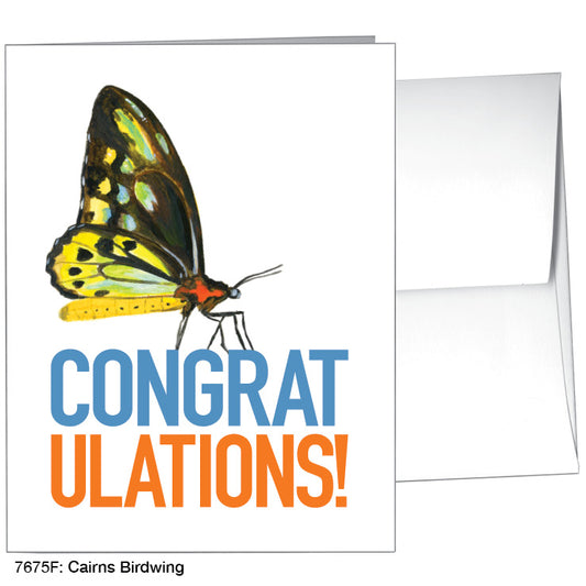 Cairns Birdwing, Greeting Card (7675F), A2, printedcanvas.com