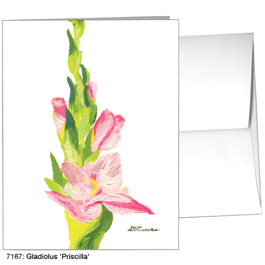 Gladiolus 'Priscilla', Greeting Card (7167A), A2 Card Front, www.printedcanvas.com