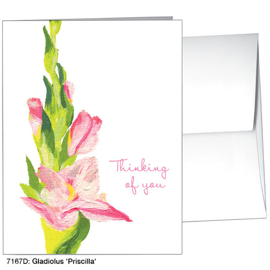 Gladiolus 'Priscilla', Greeting Card (7167D), A2, printedcanvas.com