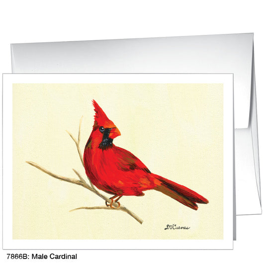 Male Cardinal, Greeting Card (7866B), A2, printedcanvas.com