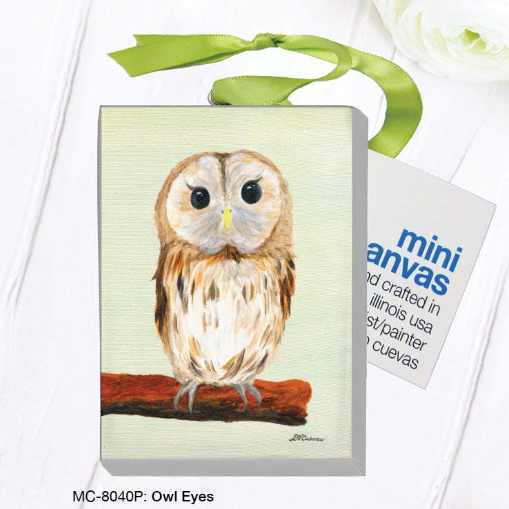 Owl Eyes, Mini Canvas (MC-8040P), Front, printedcanvas.com