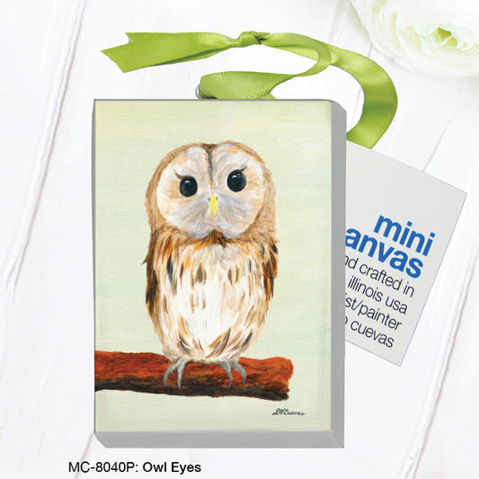 Owl Eyes, Mini Canvas (MC-8040P), Front, printedcanvas.com